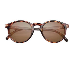 Dipsea Sunglasses in Tortoise Amber