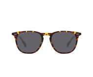 Maxwell Sunglasses in Tortoise/Amber